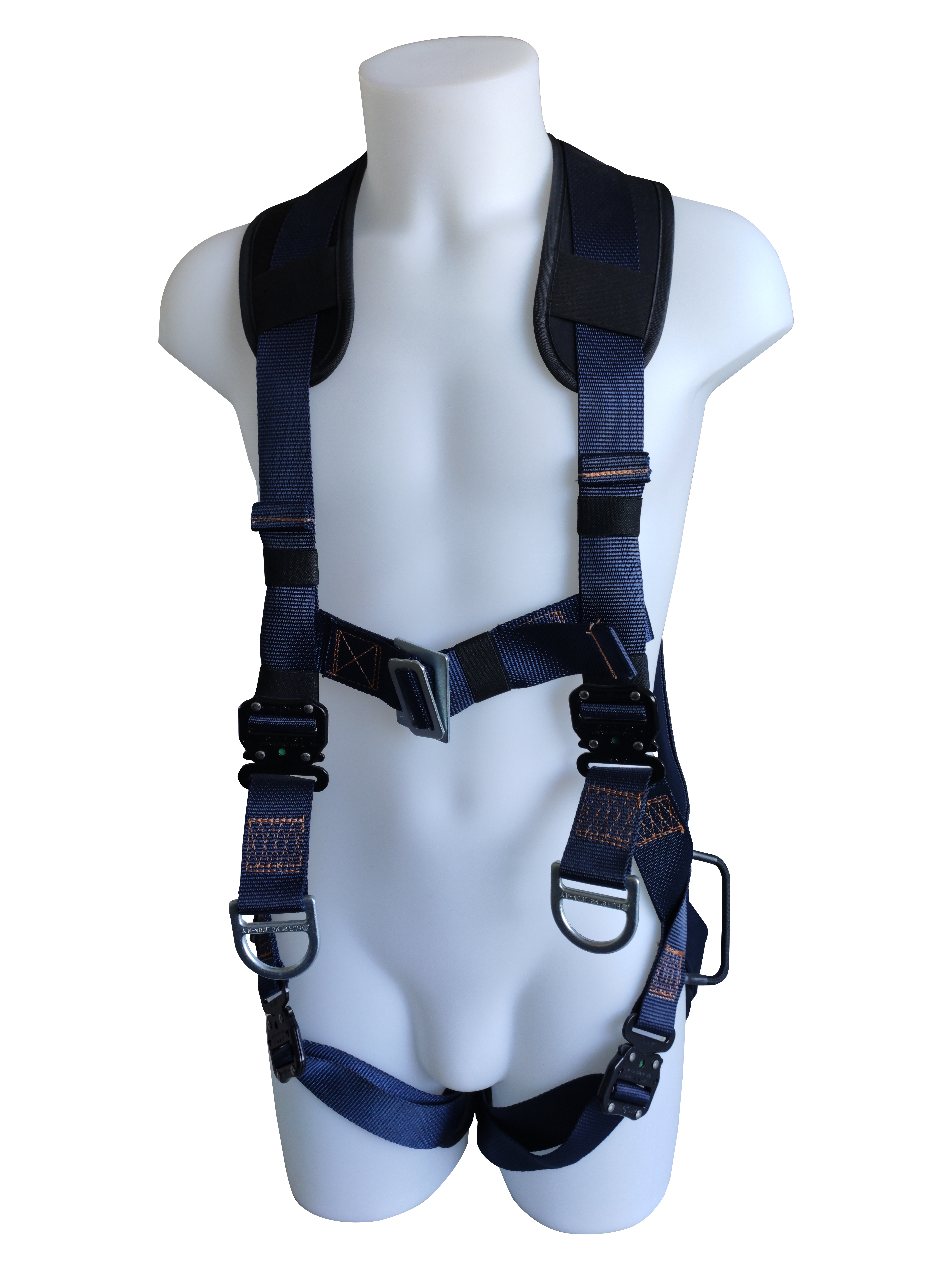 UNYC harness display bust